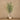 Trees-Artificial Eucalyptus Tree 220cm-Bloomr