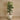 Trees-Artificial Fan Palm <br> 210cm-Bloomr