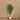 Trees-Artificial Ficus Benjamin Tree 180cm-Bloomr