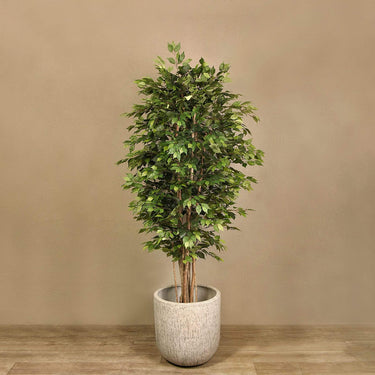 Trees-Artificial Ficus Benjamin Tree 240cm-Bloomr