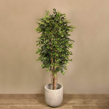 Trees-Artificial Ficus Benjamin Tree 270cm-Bloomr