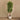 Trees-Artificial Ficus Benjamin Tree 300cm-Bloomr