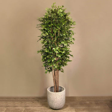 Trees-Artificial Ficus Benjamin Tree 300cm-Bloomr