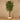 Trees-Artificial Ficus Retusa Tree 210cm-Bloomr