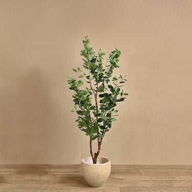 Trees-Artificial Ficus Tree 155cm-Bloomr