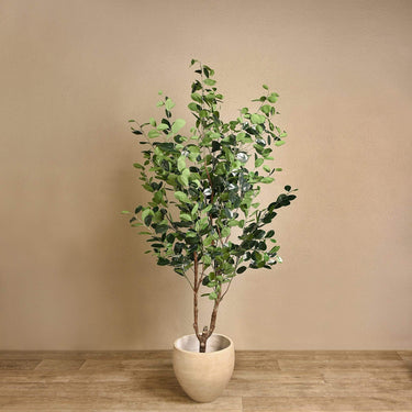 Trees-Artificial Ficus Tree 210cm-Bloomr