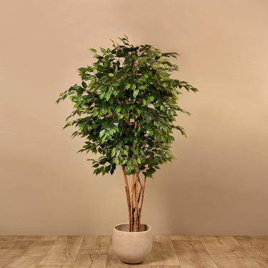 Trees-Artificial Ficus Benjamin Tree 210cm-Bloomr