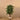 Trees-Artificial Ficus Benjamin Tree 150cm-Bloomr