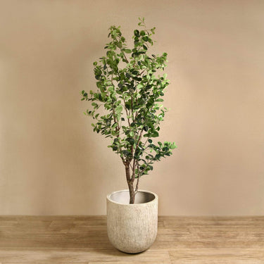 Trees-Artificial Ficus Tree 240cm-Bloomr