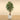 Trees-Artificial Ficus Tree <br> 210cm-Bloomr