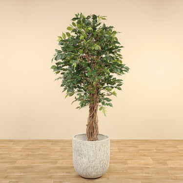 Trees-Artificial Ficus Tree <br> 210cm-Bloomr