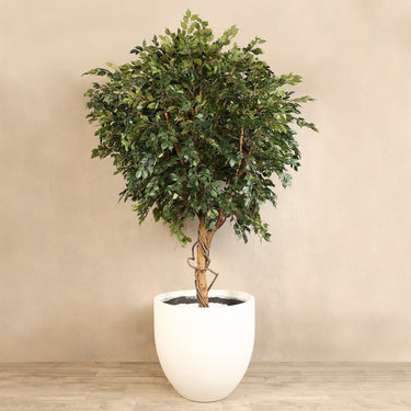 Trees-Artificial Ficus Tree <br> 300cm-Bloomr