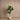Trees-Artificial Fiddle Tree 150cm-Bloomr