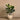 Trees-Artificial Fiddle Tree 90cm-Bloomr