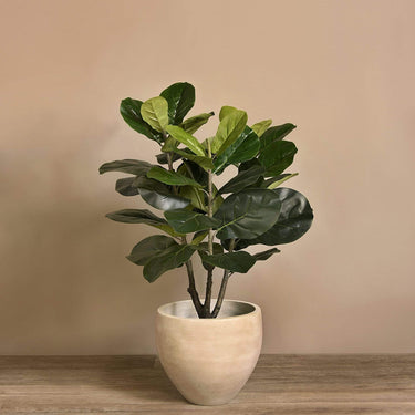Trees-Artificial Fiddle Tree 90cm-Bloomr