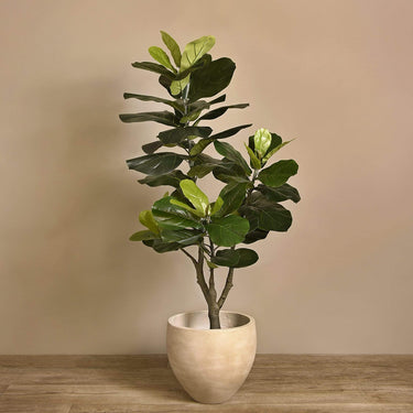 Trees-Artificial Fiddle Tree <br> 135cm-Bloomr