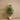 Trees-Artificial Fiddle Tree 150cm-Bloomr