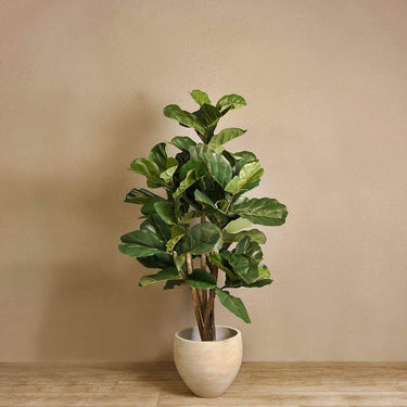 Trees-Artificial Fiddle Tree 150cm-Bloomr