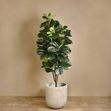 Trees-Artificial Fiddle Tree <br> 230cm-Bloomr