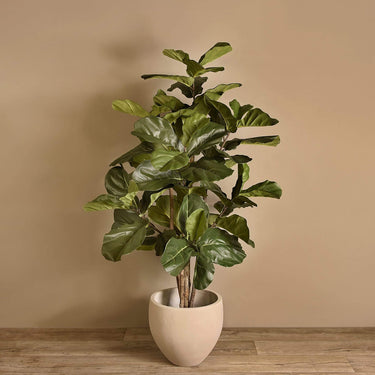 Trees-Artificial Fiddle Tree 150cm-Bloomr