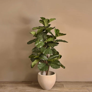 Trees-Artificial Fiddle Tree 130cm-Bloomr