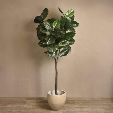 Trees-Artificial Fiddle Tree 210cm-Bloomr