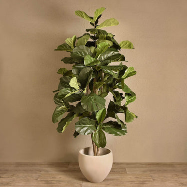 Trees-Artificial Fiddle Tree 180cm-Bloomr