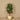 Trees-Artificial Hibiscus Tree <br> 150cm-Bloomr
