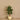 Trees-Artificial Hibiscus Tree <br> 120cm-Bloomr
