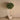 Trees-Artificial Laurel Tree <br> 150cm-Bloomr