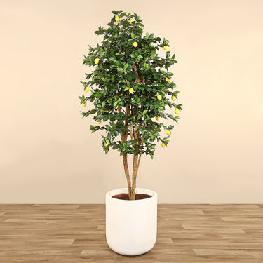 Trees-Artificial Lemon Tree 210cm-Bloomr