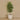 Trees.-Artificial Longifolia Tree 180cm-Bloomr