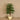Trees-Artificial Longifolia Tree <br> 120cm-Bloomr