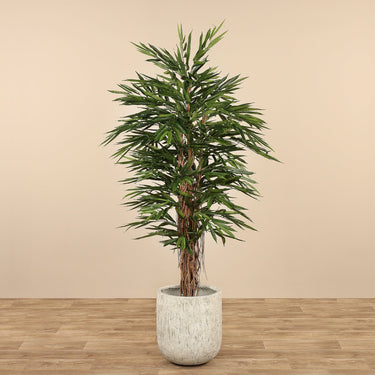Trees-Artificial Longifolia Tree <br> 180cm-Bloomr