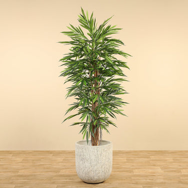 Trees-Artificial Longifolia Tree 210cm-Bloomr