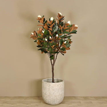 Trees-Artificial Magnolia Tree 200cm-Bloomr
