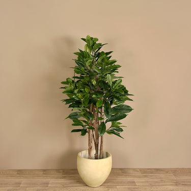 Trees-Artificial Magnolia Tree 150cm-Bloomr
