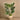 Trees-Artificial Monstera 170cm-Bloomr