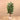 Trees-Artificial Rubber Tree <br> 150cm-Bloomr