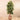 Trees-Artificial Rubber Tree 180cm-Bloomr