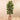 Trees-Artificial Rubber Tree 180cm-Bloomr