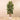 Trees-Artificial Rubber Tree 180cm-Bloomr