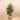 Trees-Artificial Rubber Tree 130cm-Bloomr