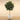 Trees-Artificial Oak Tree 240cm-Bloomr