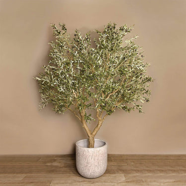 Trees-Artificial Olive Tree 250cm-Bloomr