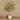 Trees-Artificial Olive Tree 300cm-Bloomr