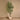 Trees-Artificial Olive Tree <br> 210cm-Bloomr