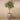 Trees-Artificial Olive Tree 200cm-Bloomr