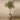 Trees-Artificial Olive Tree 200cm-Bloomr