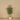 Trees-Artificial Olive Tree 180cm-Bloomr